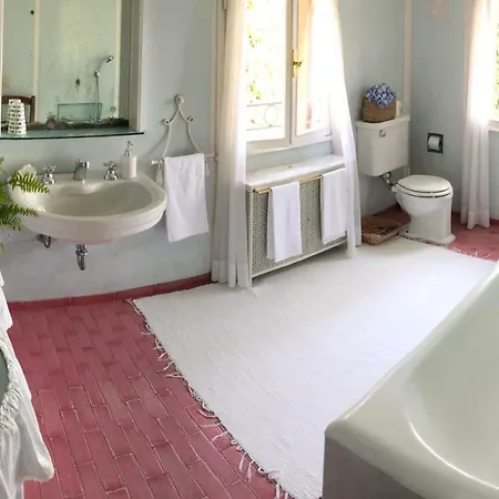 Il Galero فيلة *